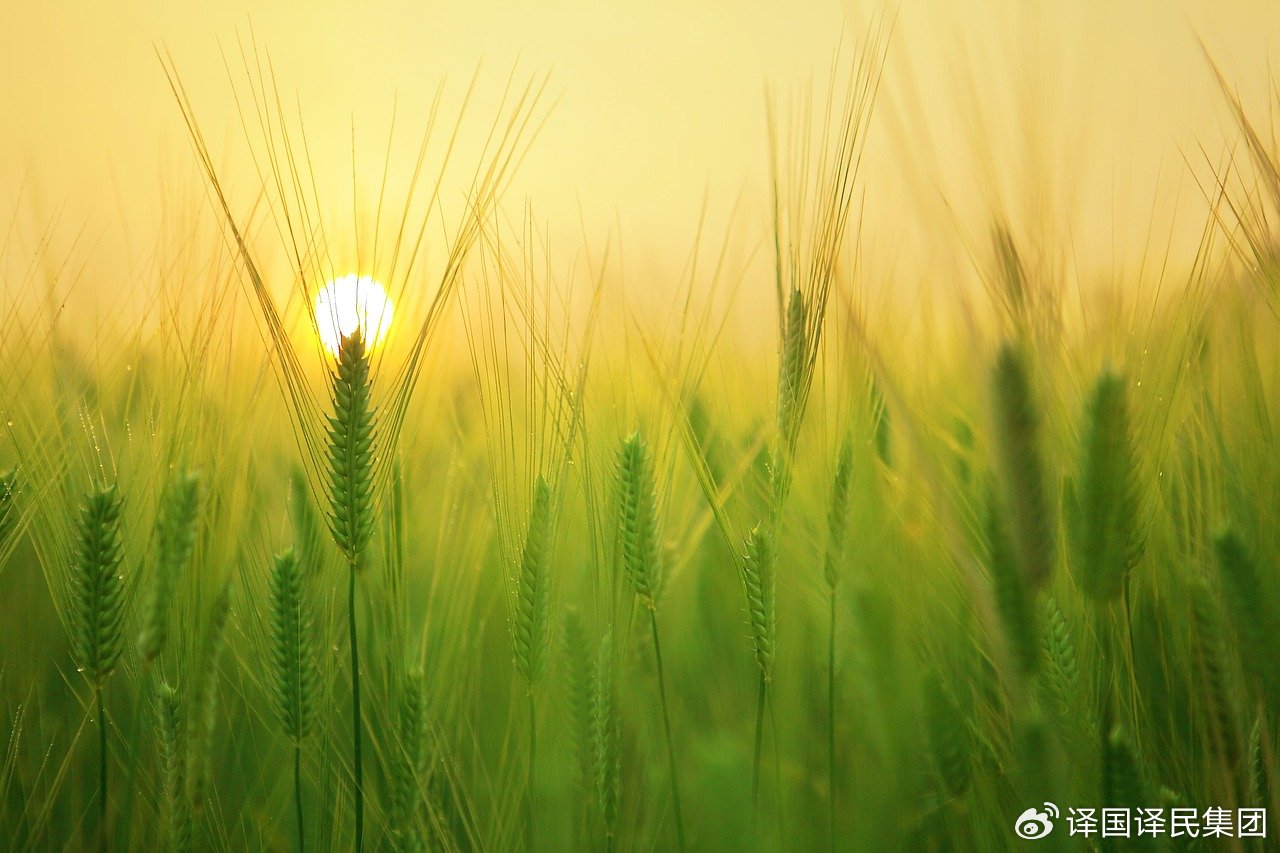 沙龙会sa36(国际)官方网站